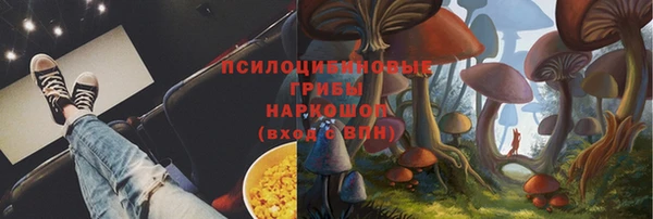 а пвп мука Няндома