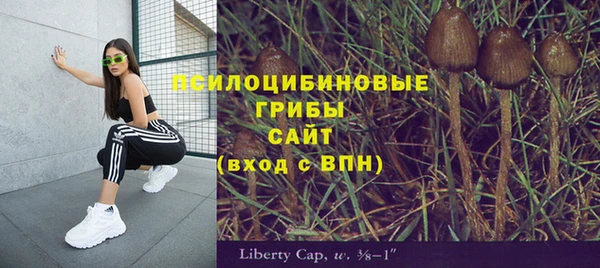 Альфа ПВП Нязепетровск