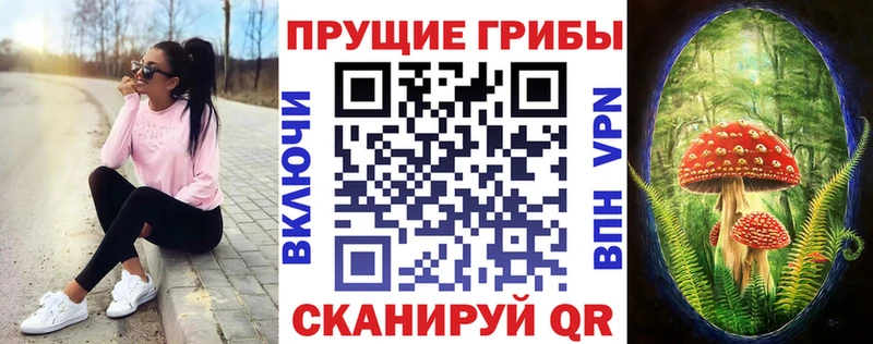 закладка  Якутск  МЕГА зеркало  Галлюциногенные грибы мицелий 
