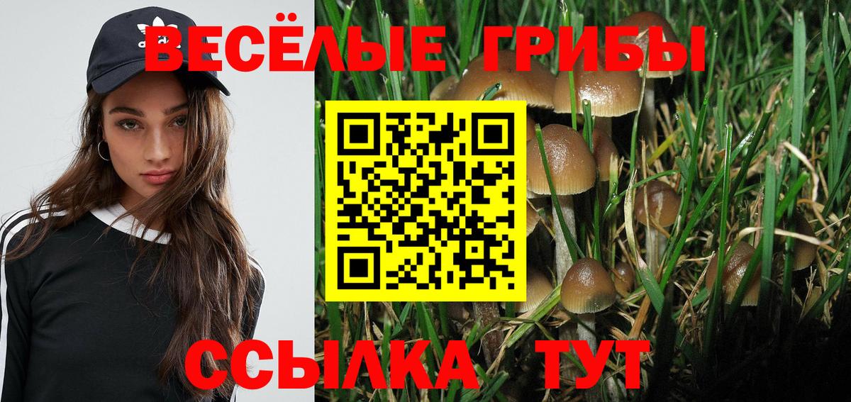 Якутск  закладки  Вход с VPN  Галлюциногенные грибы MAGIC MUSHROOMS  Галлюциногенные грибы Psilocybine cubensis 